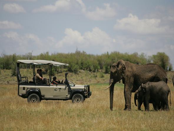 Saruni Mara - excellent Big 5 game viewing